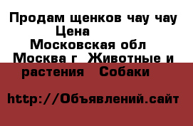 Продам щенков чау-чау  › Цена ­ 25 000 - Московская обл., Москва г. Животные и растения » Собаки   